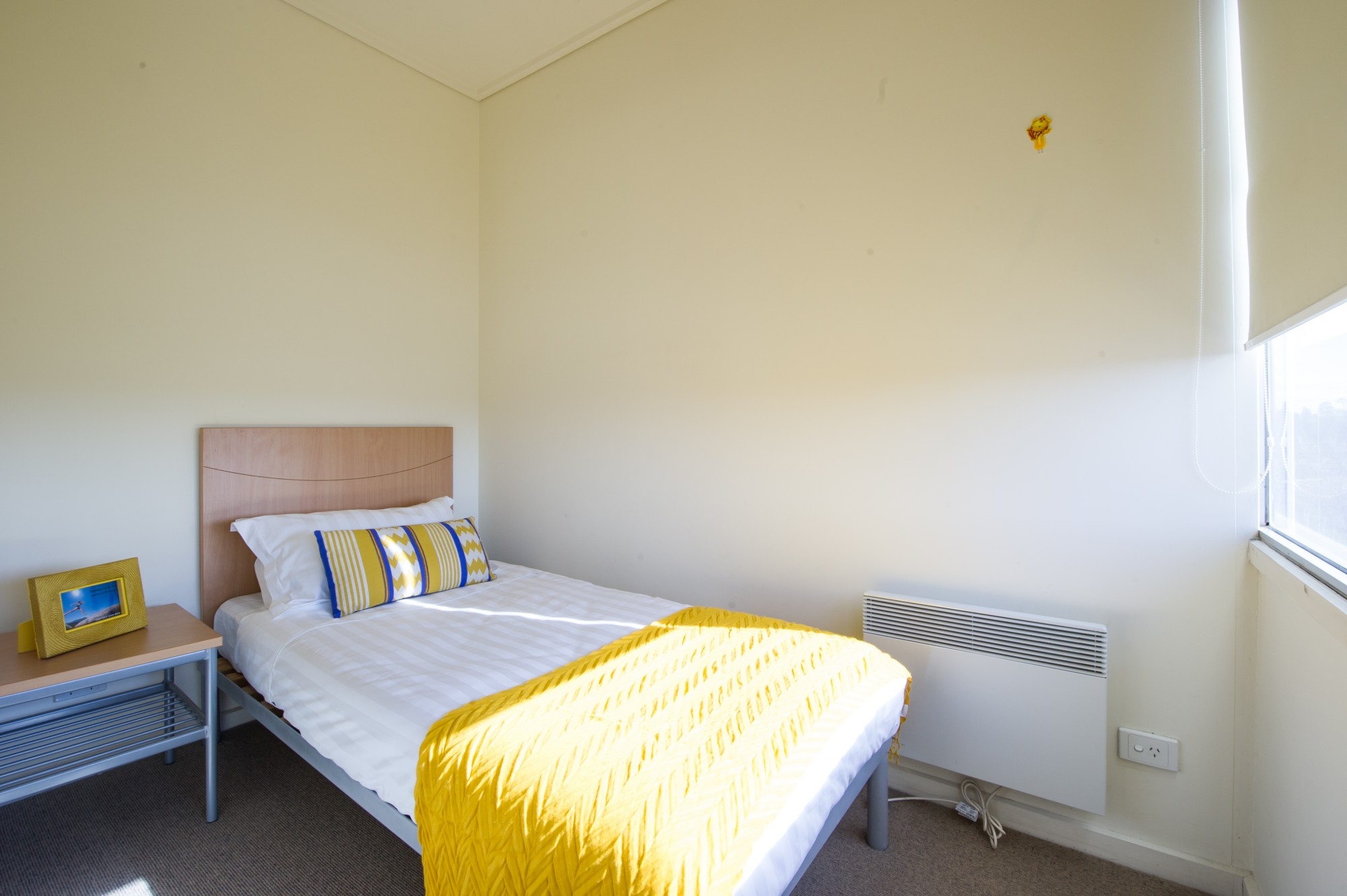 Studio at Student Living 590 Lygon — photo 1